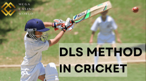 A Quick Guide to the DLS Method in Cricket